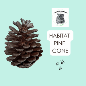 Habitat pine cone