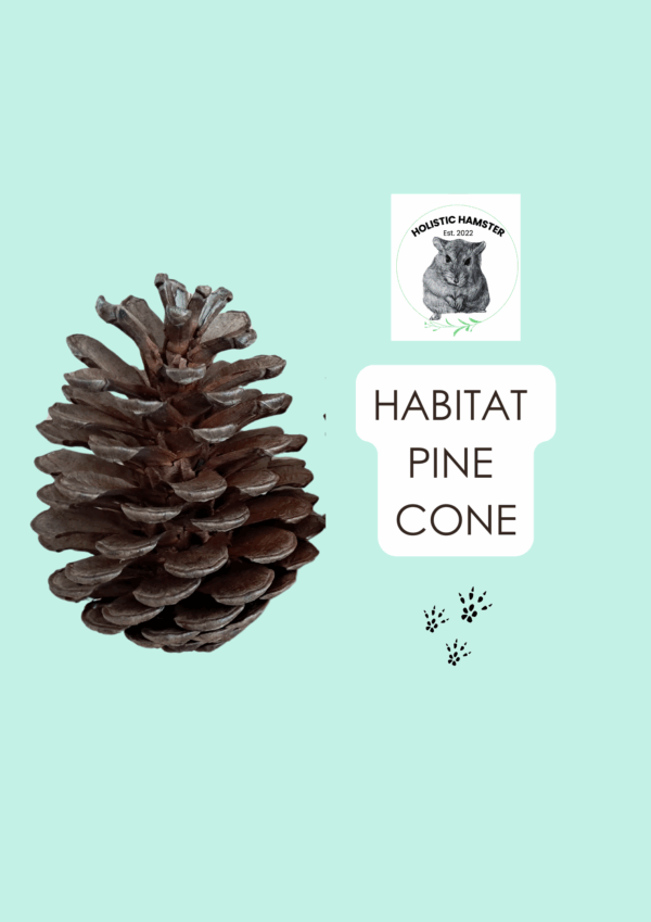 Habitat pine cone