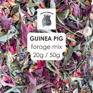 Guinea Pig Forage Mix