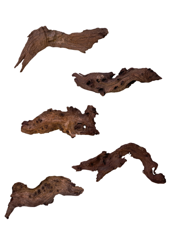 Driftwood