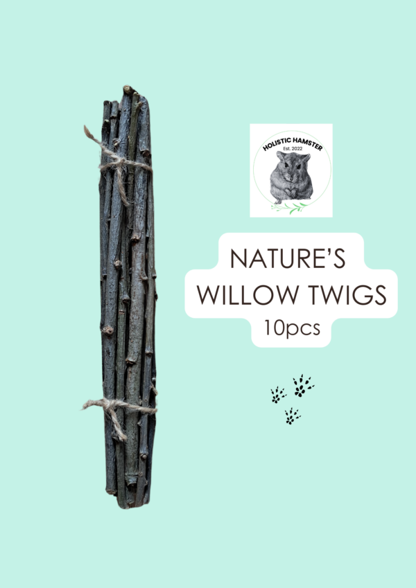 Nature's Willow Twigs