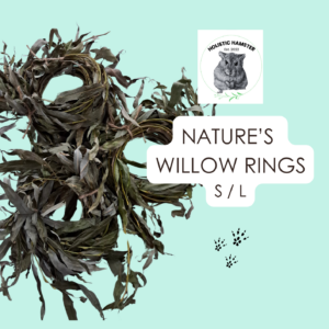 Nature's Willow Rings- Seasonal