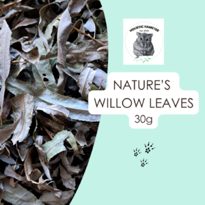 Nature's Willow Leaves - Seasonal