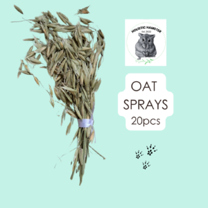 Oat Sprays- Seasonal