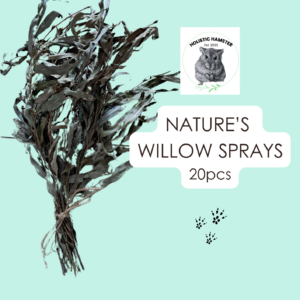 Nature's Willow Sprays- Seasonal